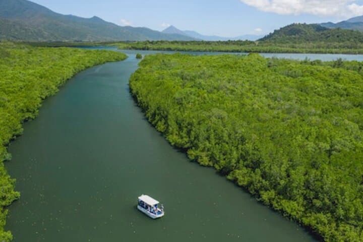 Cairns Combo — Trinity Inlet River Cruise and Small-Group Cairns City Sights photo 2
