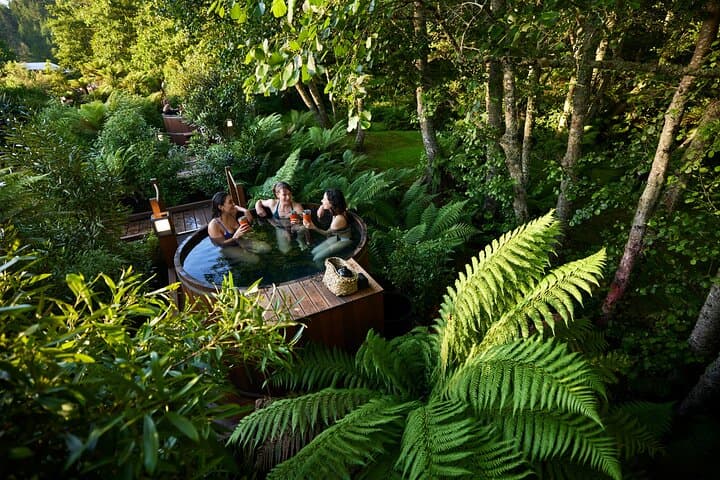 Rotorua Forest Hot Tub Soak — Secret Spot Cedar Tub Experience photo 5