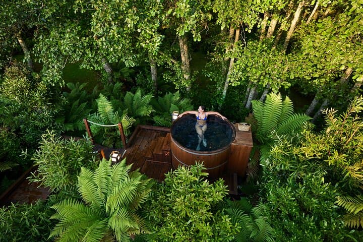 Rotorua Forest Hot Tub Soak — Secret Spot Cedar Tub Experience