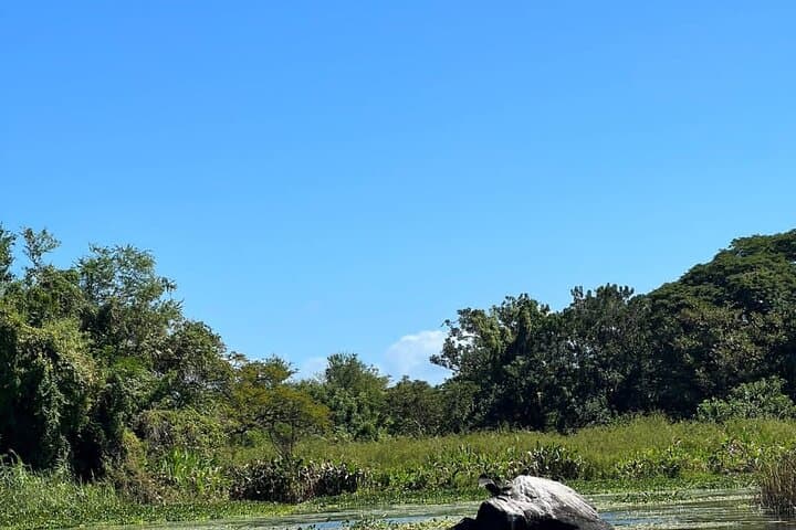 Nicaragua One Day Experience: Volcano Views and Colonial Charm in 12 Hours photo 5