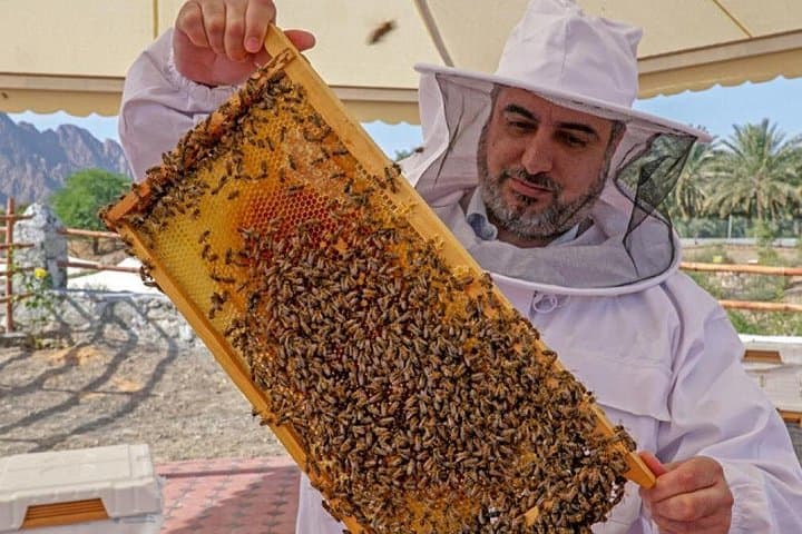 Hatta Day Trip: Dam, Heritage Village & Honeybee Garden from Dubai photo 4