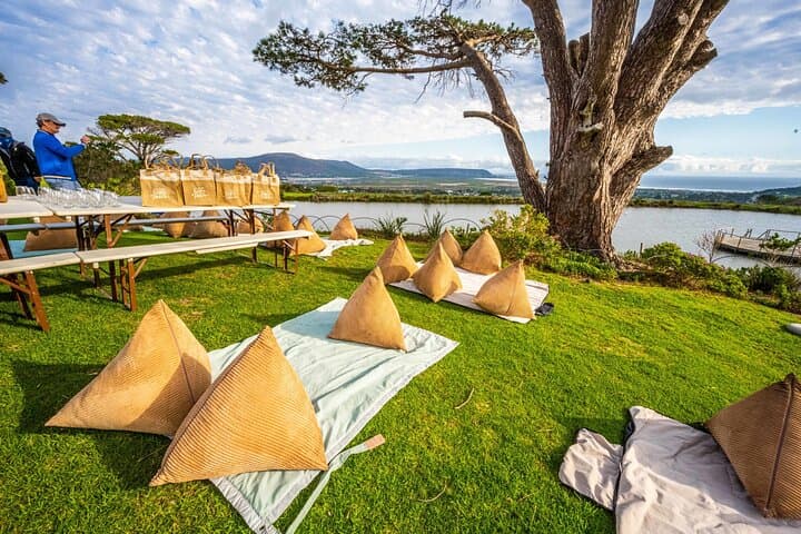Cape Peninsula Off‑Road & Wine: Half‑Day Jeep Tour from Cape Town photo 5