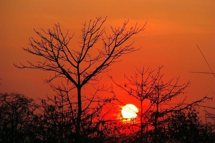 3-Day Chitwan National Park Wildlife Safari from Kathmandu