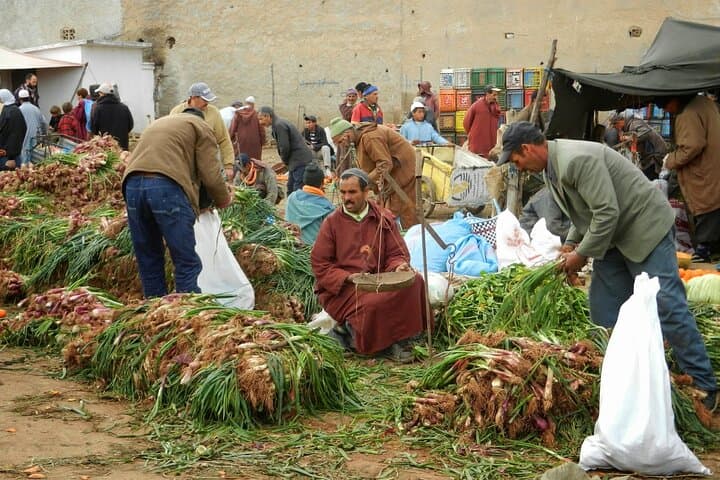 Agafay Desert & Atlas Mountains Day Trip with Camel Ride from Marrakech