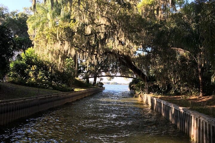 Historical Wildlife Pontoon Tour of Winter Haven's Chain of Lakes photo 4