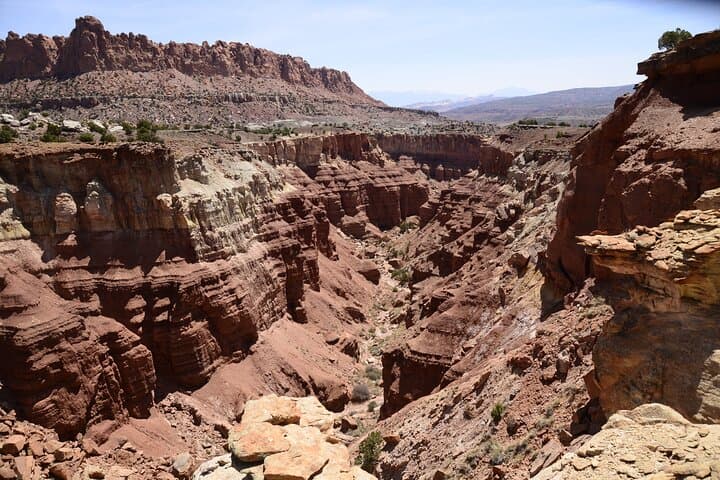 Llama Hike Through Capitol Reef’s Waterpocket Fold — Full-Day Guided Trek from Torrey photo 3