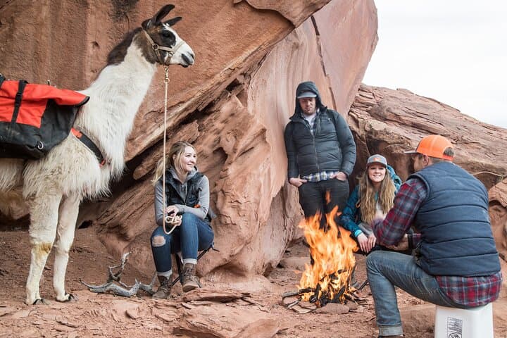 Llama Hike Through Capitol Reef’s Waterpocket Fold — Full-Day Guided Trek from Torrey photo 5