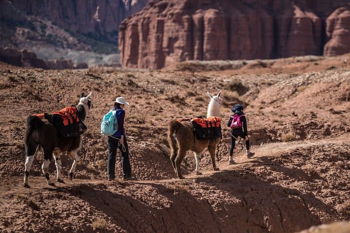 Llama Trekking in Capitol Reef: 4-Hour Guided Hike with Gourmet Lunch photo 5