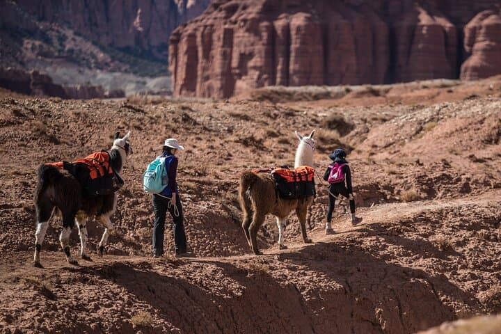 Llama Hikes at Capitol Reef: 2-Hour Waterpocket Fold Trek with Pack Llamas photo 5