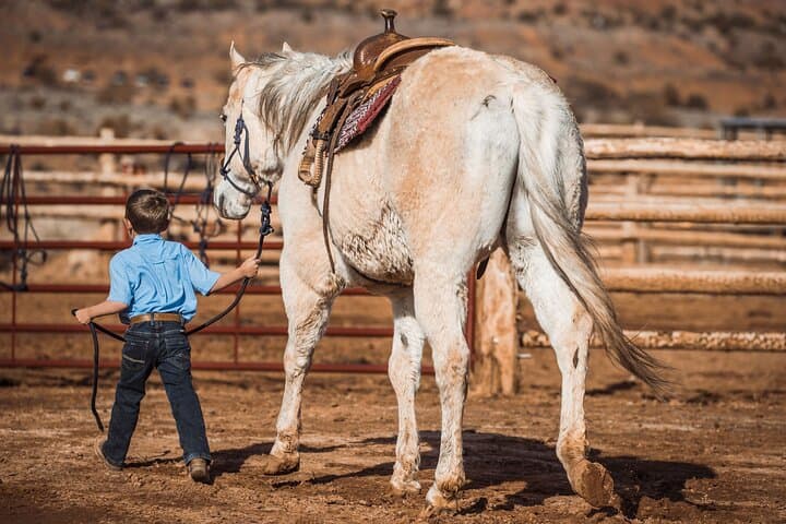 Capitol Reef 2-Hour Horseback Ride — Guided Trail Ride from Torrey, Utah photo 3
