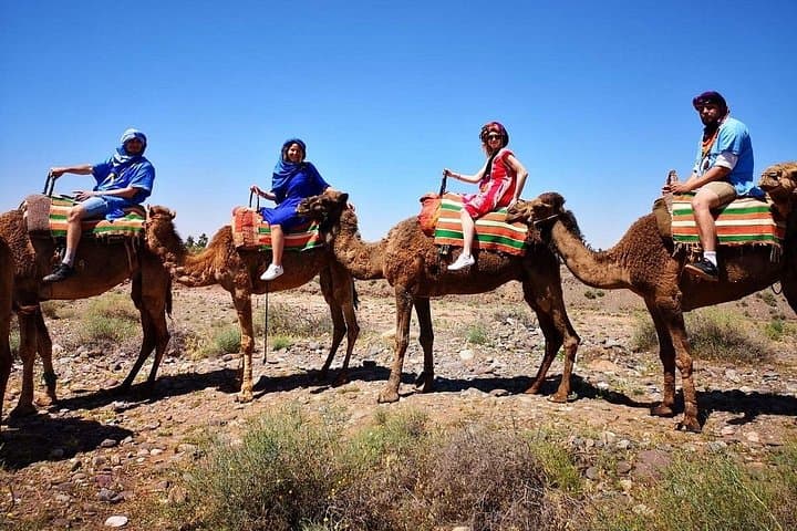 Atlas Mountains & Camel Ride Day Trip from Marrakech — Imlil Valley, Berber Villages & Waterfalls photo 1
