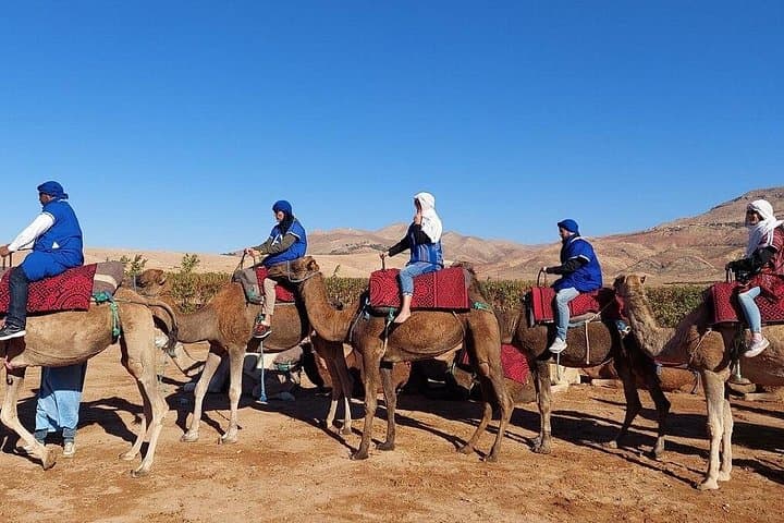 Atlas Mountains Imlil Valley Waterfalls and Camel Ride Day Trip from Marrakech photo 5