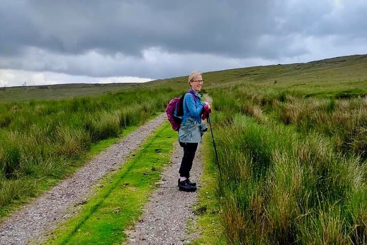 Bog Safari Hike: Explore Inishowen Peatlands and Wild Atlantic Views