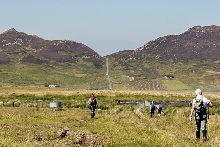 Bog Safari Hike: Explore Inishowen Peatlands and Wild Atlantic Views photo 2