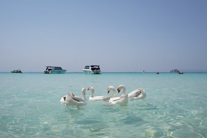 Coral Island (Koh Larn) Speedboat Day Trip from Pattaya — Beaches, Snorkel & SUP photo 3