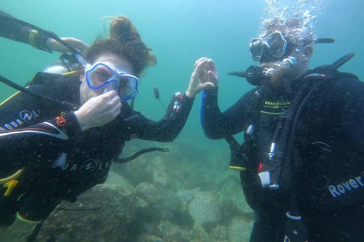 Discover Scuba Diving at Dibba Rock, Fujairah — Beginner-Friendly Day Dive photo 3