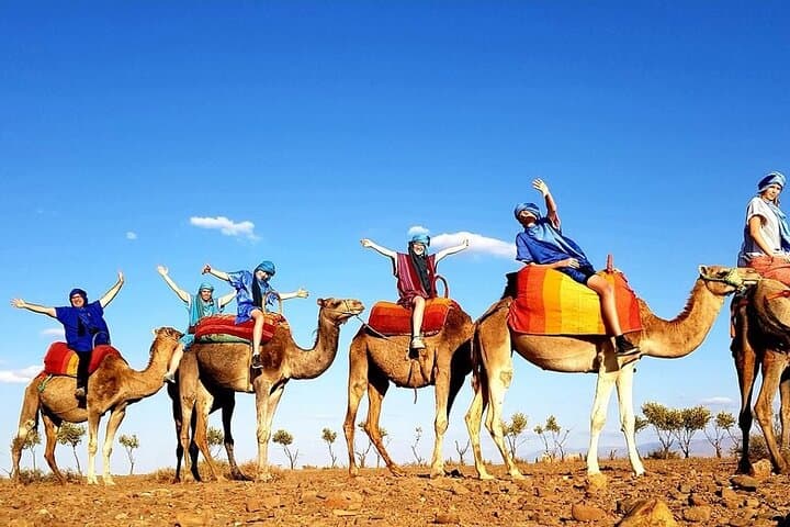 Atlas Mountains Day Trip from Marrakech: Imlil Waterfalls, Camel Ride & Berber Villages photo 4