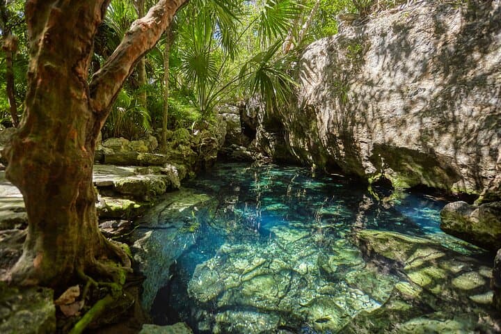 Tulum Ruins, Ven a la Luz & Sacred Cenotes: Full-Day Cultural and Swim Tour from Cancun photo 2