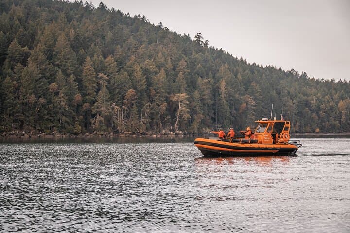 Nanaimo Open-Boat Whale Watching in the Salish Sea — Zodiac Wildlife Tours