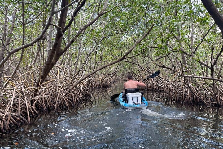 Paddle Shell Key Preserve: Sunset Kayak Adventure from Tierra Verde photo 4