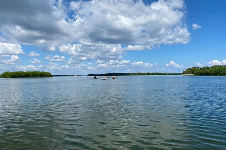 Paddle Shell Key Preserve: Sunset Kayak Adventure from Tierra Verde photo 5