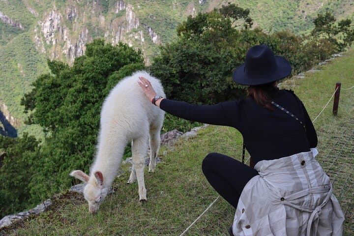 Best of Peru in 11 Days: Lima, Colca Canyon, Titicaca & Machu Picchu photo 2