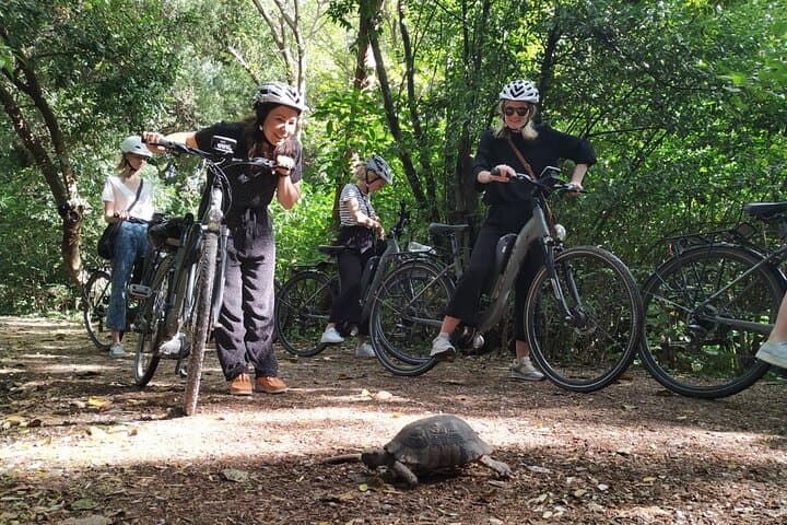 Spin Through Athens: Small-Group Bike Tour with Optional Acropolis Stop photo 4