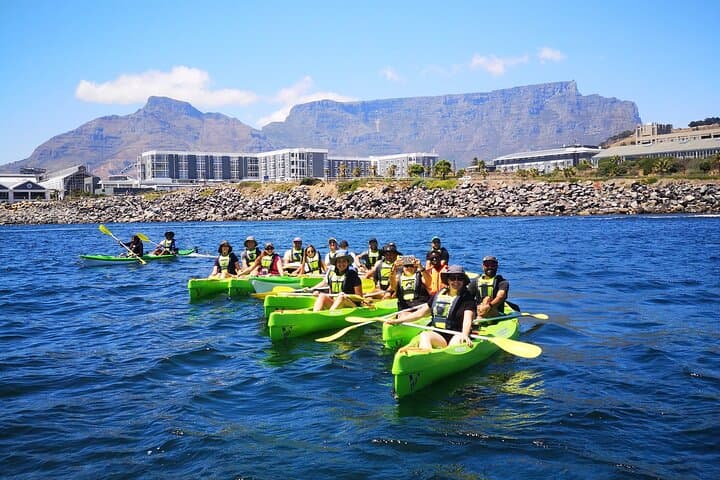 Sea Kayaking from Cape Town’s V&A Waterfront: Paddle beneath Table Mountain photo 5