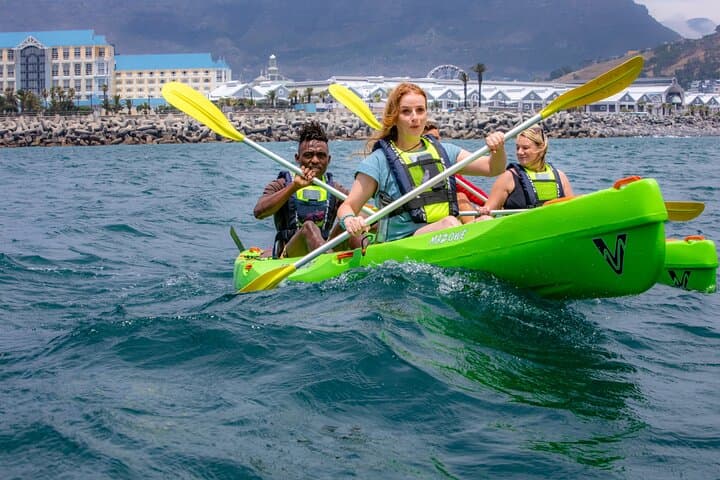 Sea Kayaking from Cape Town’s V&A Waterfront: Paddle beneath Table Mountain photo 6