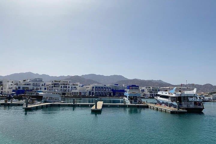 Half-Day Red Sea Boat Dive from Aqaba — Wrecks, Reefs & Pro Photos photo 5