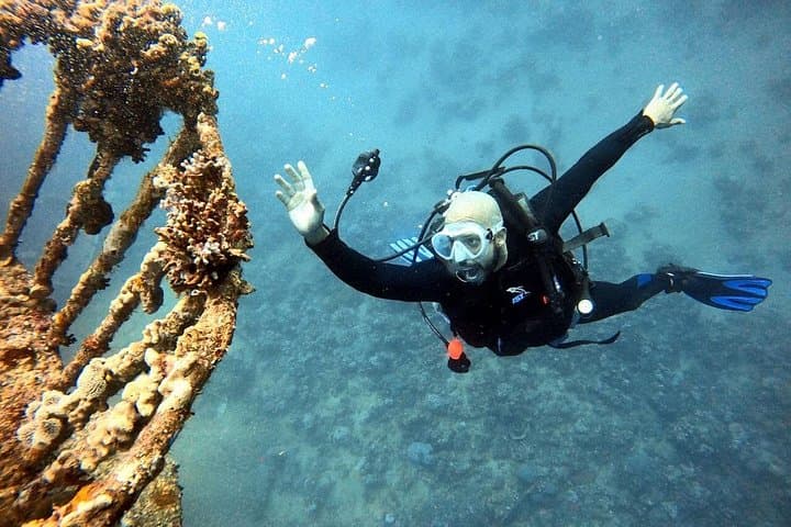 Half-Day Red Sea Boat Dive from Aqaba — Wrecks, Reefs & Pro Photos photo 6