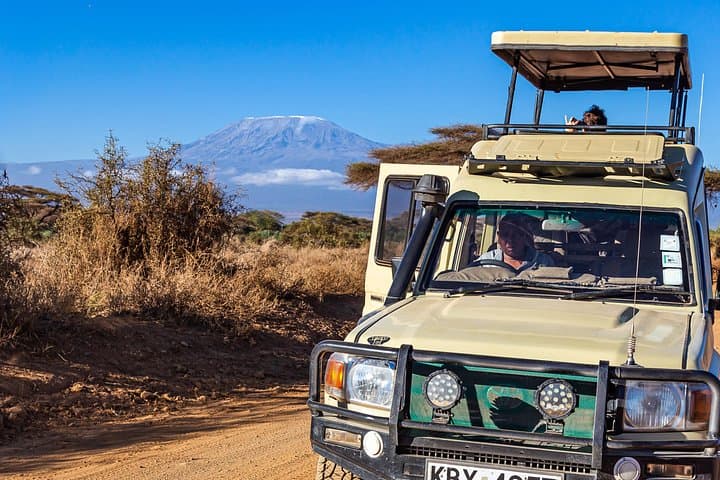 Amboseli Day Trip: Game Drive, Kilimanjaro Views & Maasai Culture photo 3