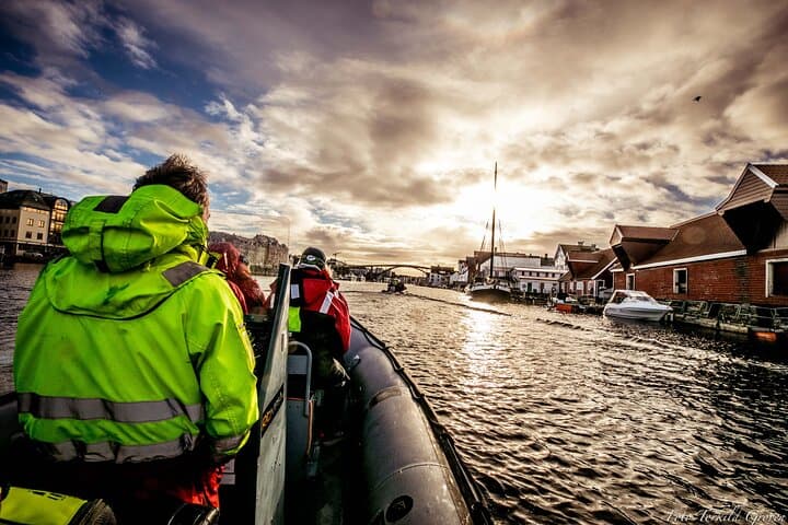 High-Speed RIB Safari in Haugesund — Coastal Islands & Eagle Watching