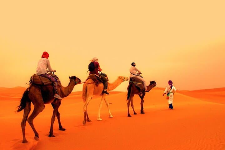 2-Day Zagora Desert Trip From Agadir — Camel Trek & Berber Camp Experience photo 3