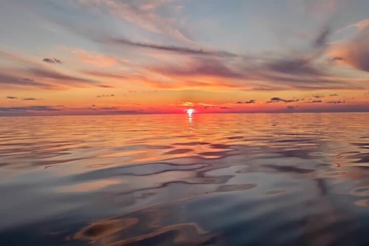 Sunset Dolphin Watching Boat Tour from Vrsar — Evening Dolphin Cruise in Istria photo 6