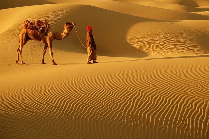 Morning Dune Drive & Camel Ride in Dubai: 4-Hour Arabian Desert Safari photo 3