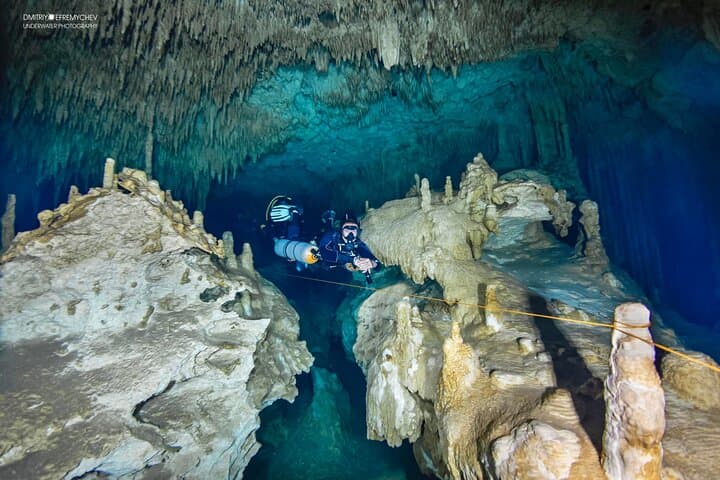 Cenote Diving at Dream Gate — Explore Sac Actun’s Stalactite Caverns photo 4