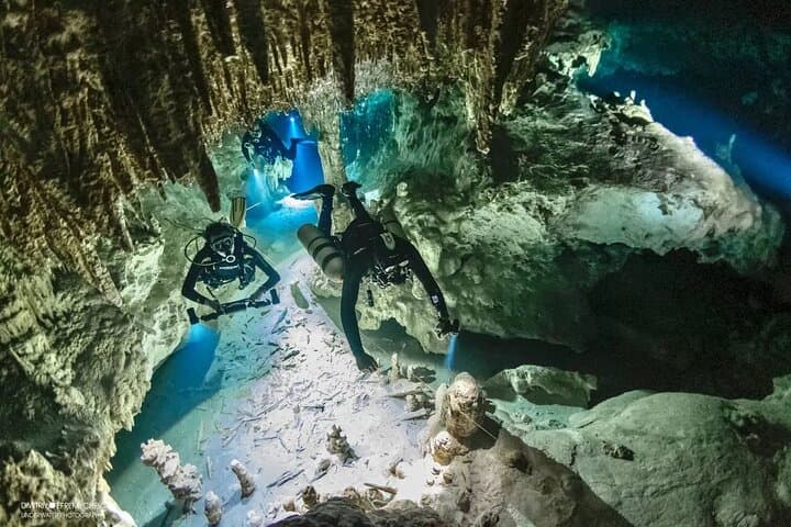 Cenote Diving at Dream Gate — Explore Sac Actun’s Stalactite Caverns photo 5