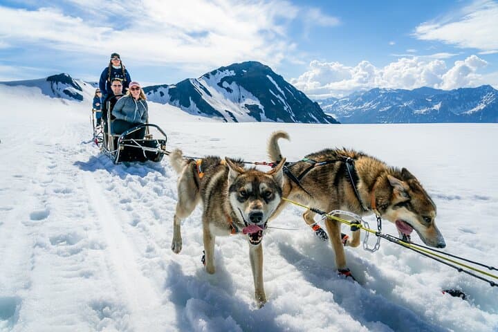 Helicopter Glacier Dogsled Tour Bear Glacier Lagoon Seward Alaska