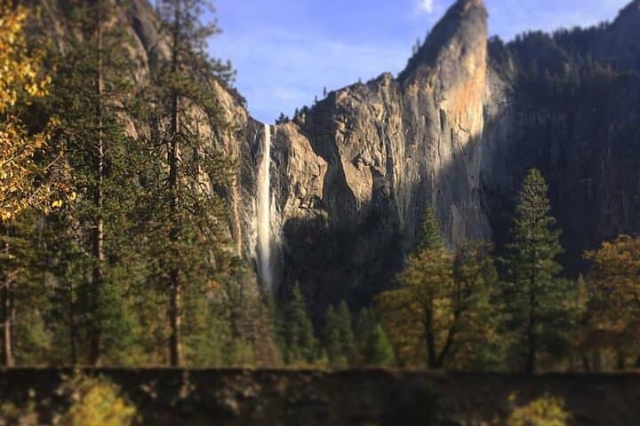 Yosemite Valley & Glacier Point Adaptive Tour: Accessible Glacier Point and Valley Sightseeing photo 6