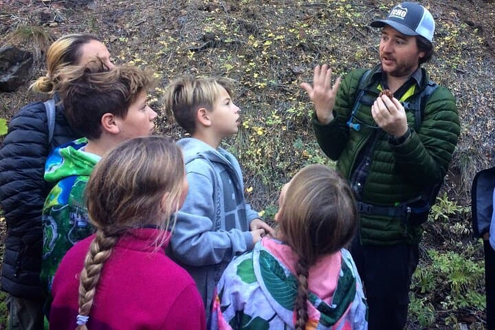 Yosemite High Country Adaptive Tour: Accessible Tioga Pass Scenic Drive & Photo Stops photo 2