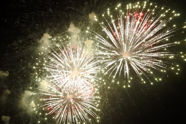 Destin Harbor Lights Tiki Tour: Dolphin Cruise & Fireworks Experience