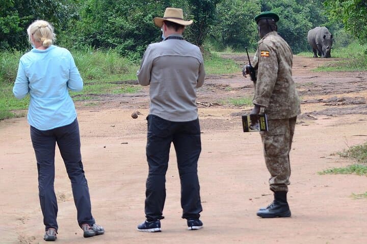 Ziwa Rhino Trekking — Walk with Uganda's White Rhinos from Kampala