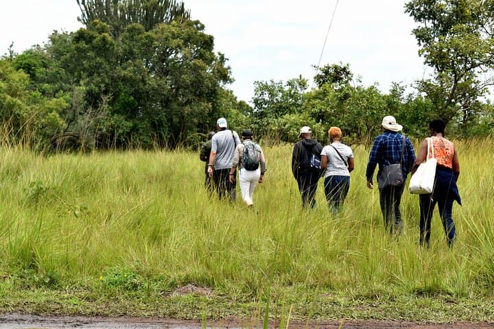Ziwa Rhino Trekking — Walk with Uganda's White Rhinos from Kampala photo 4
