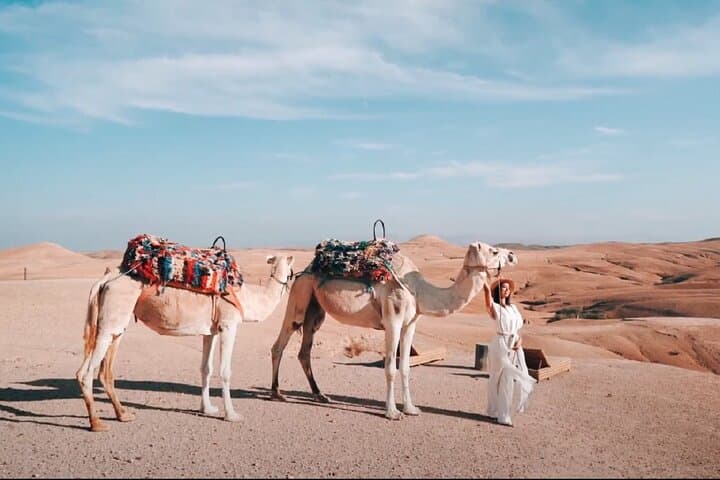 Agafay Desert, Atlas Mountains & Waterfalls Day Trip from Marrakech photo 2