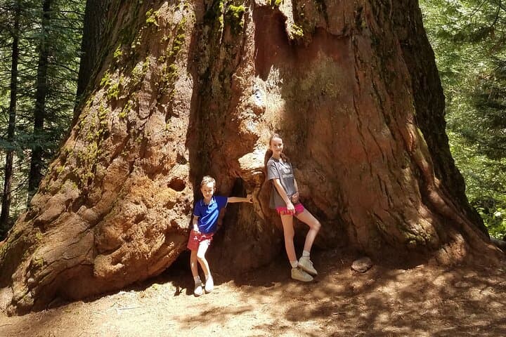 Private Yosemite Explorer: 3-Day High Country, Valley & Hetch Hetchy Adventure photo 5