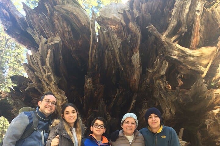 Tuolumne Grove Big Trees Hike & Riverside Cookout — Day Trip from Groveland photo 4