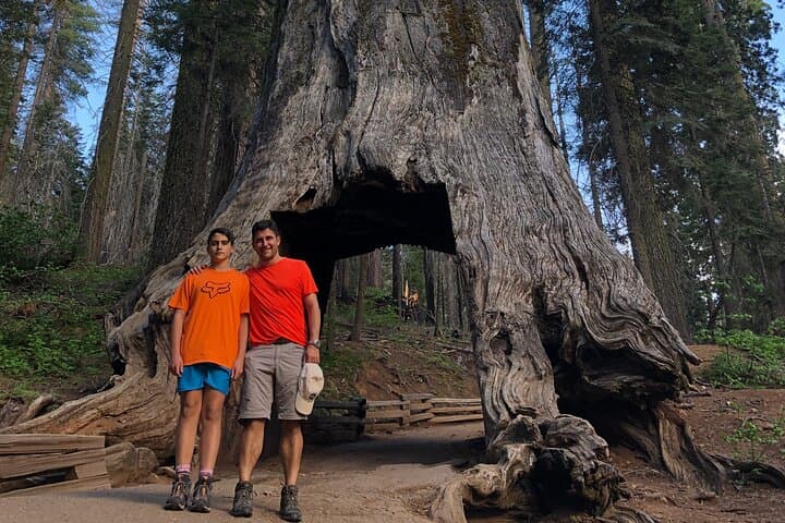Tuolumne Grove Big Trees Hike & Riverside Cookout — Day Trip from Groveland photo 3
