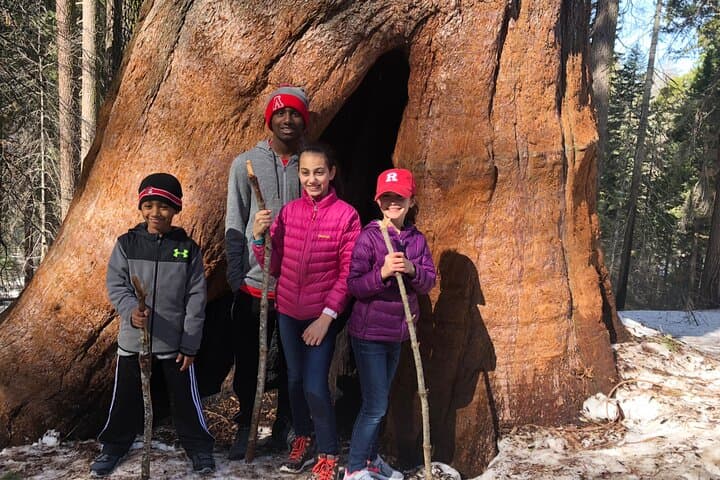 Tuolumne Grove Big Trees Hike & Riverside Cookout — Day Trip from Groveland photo 6