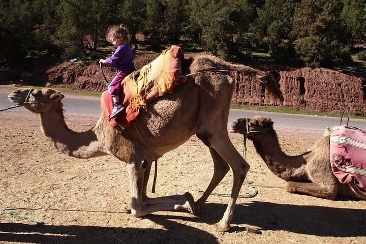 Ourika Valley Waterfalls & Berber Villages Day Trip from Marrakech photo 5